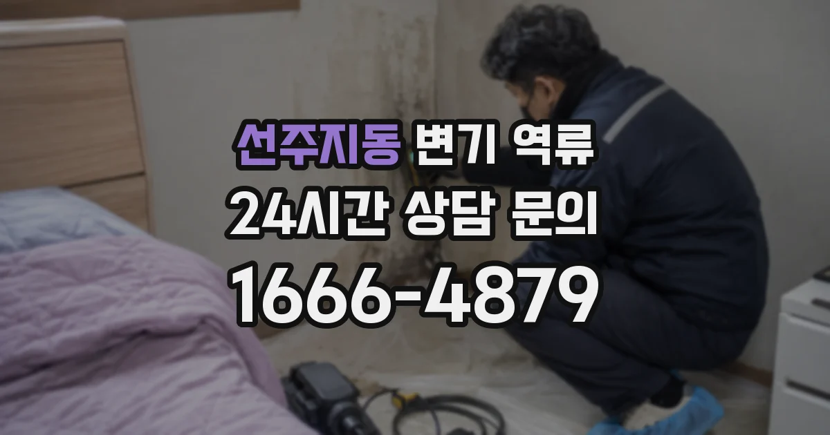 선주지동 변기 역류