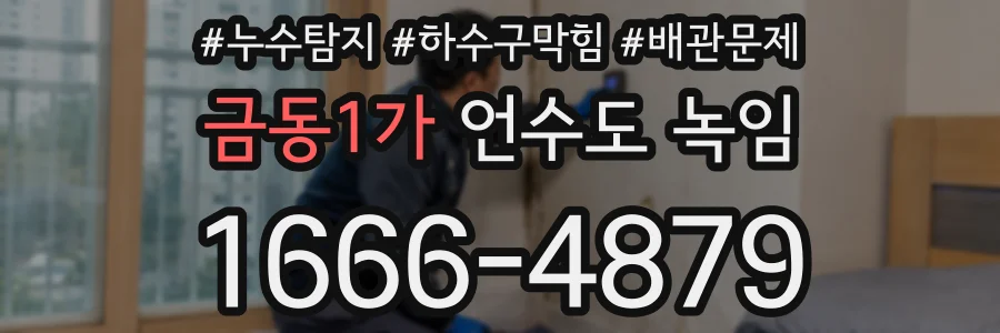 금동1가 언수도 녹임
