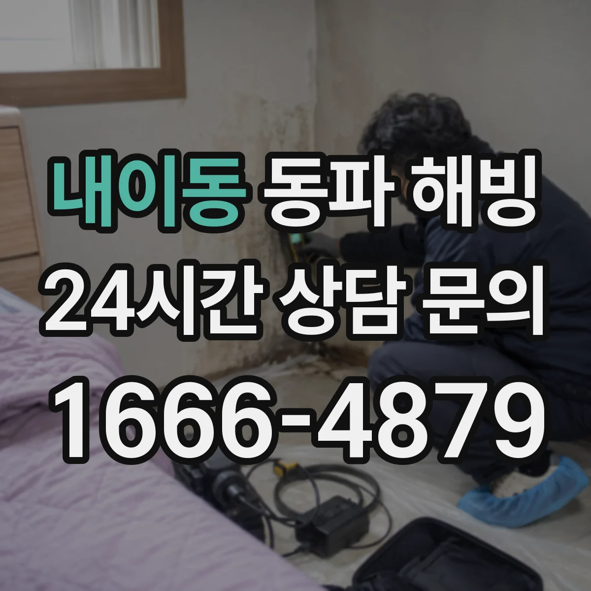 내이동 동파 해빙