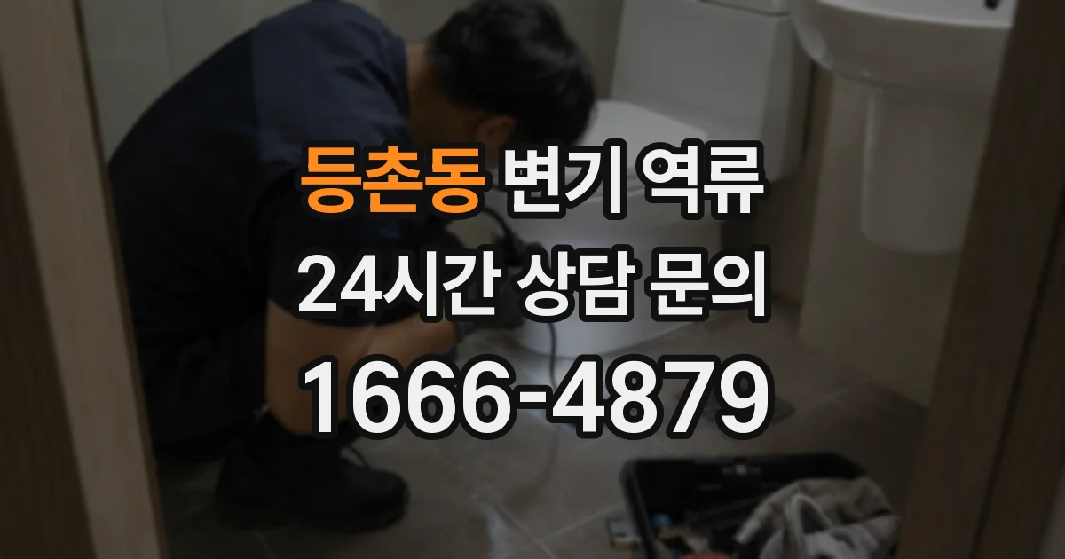 등촌동 변기 역류