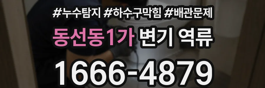 동선동1가 변기 역류