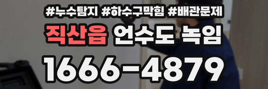 직산읍 언수도 녹임