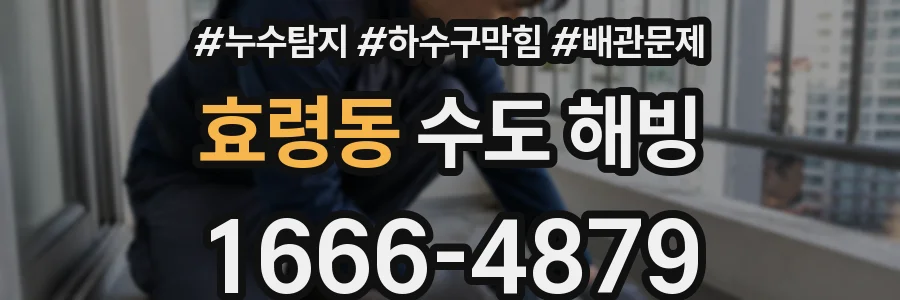 효령동 수도 해빙