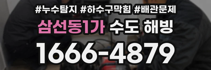 삼선동1가 수도 해빙