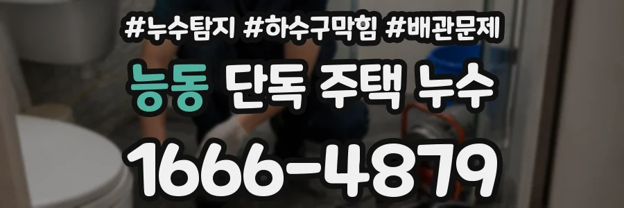 능동 단독 주택 누수