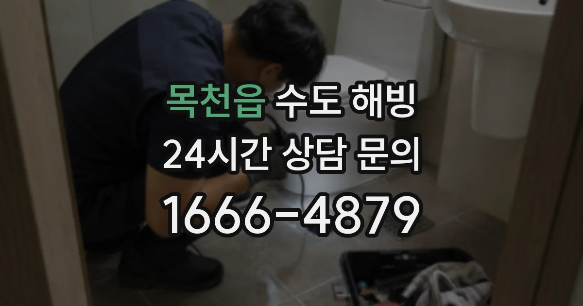 목천읍 수도 해빙