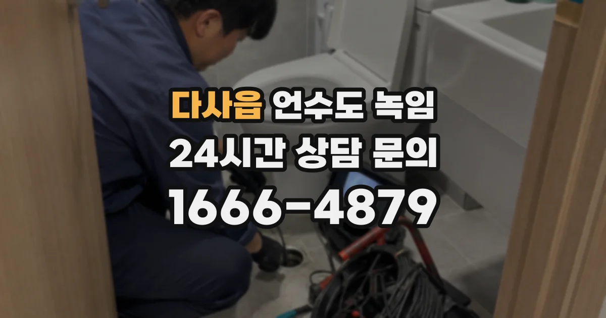 다사읍 언수도 녹임
