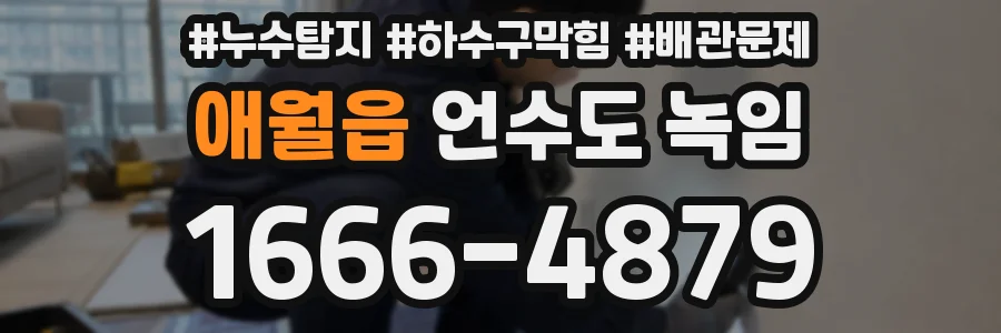 애월읍 언수도 녹임
