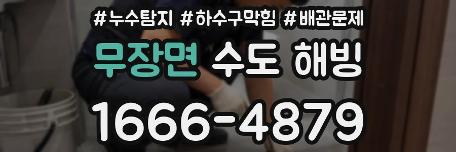 무장면 수도 해빙