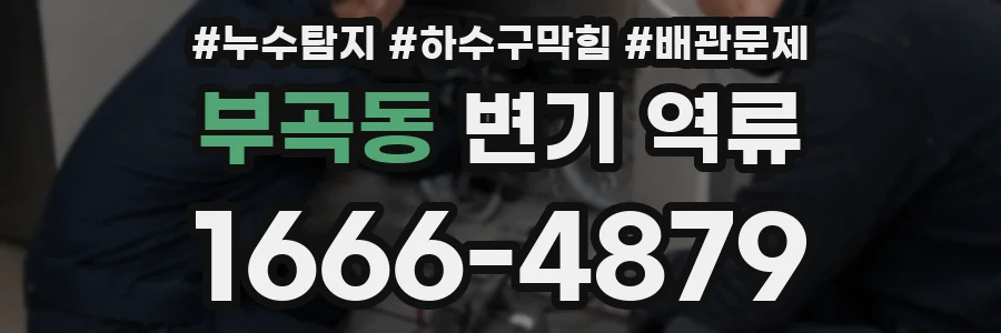 부곡동 변기 역류