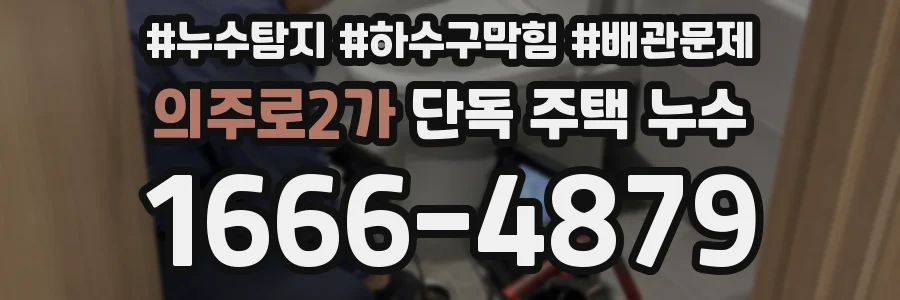 의주로2가 단독 주택 누수