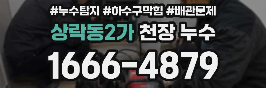 상락동2가 천장 누수