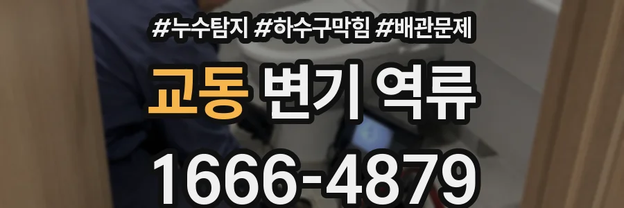 교동 변기 역류