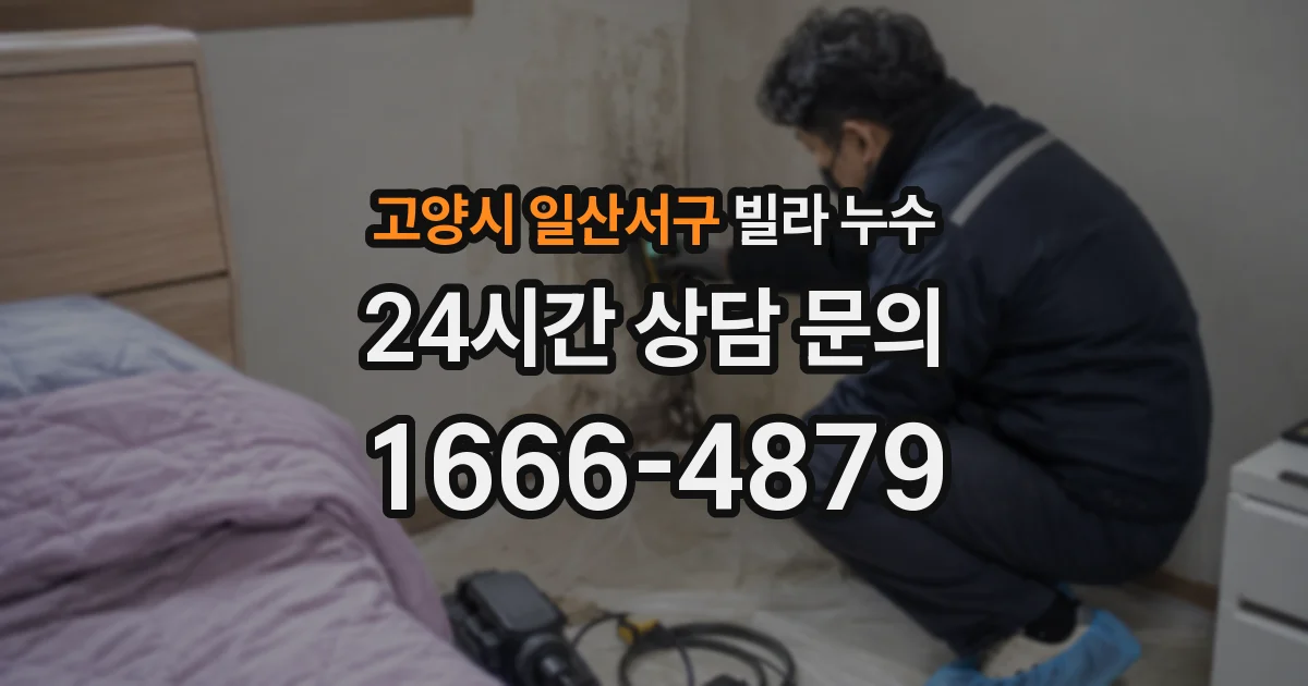 고양시 일산서구 빌라 누수