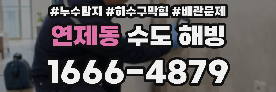 연제동 수도 해빙