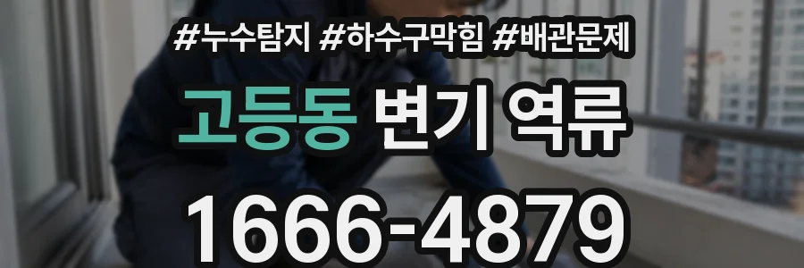 고등동 변기 역류