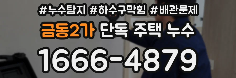 금동2가 단독 주택 누수