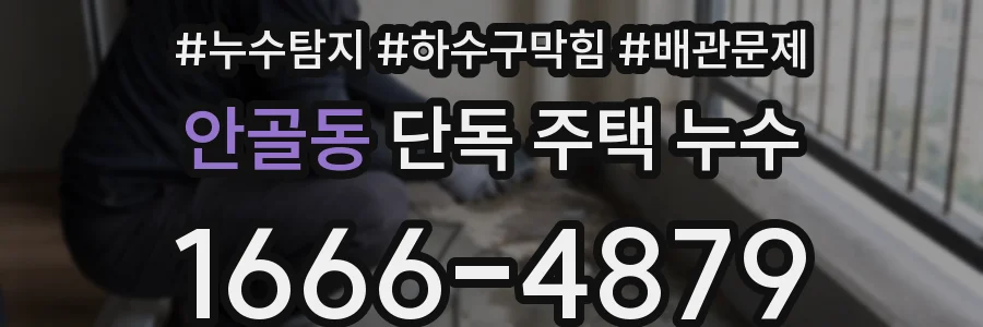안골동 단독 주택 누수