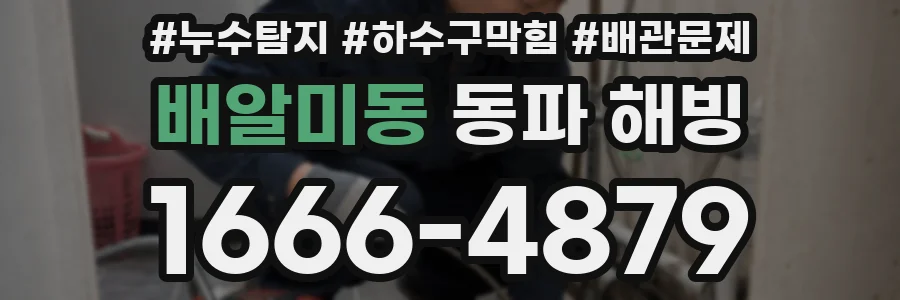 배알미동 동파 해빙