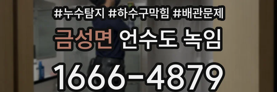 금성면 언수도 녹임