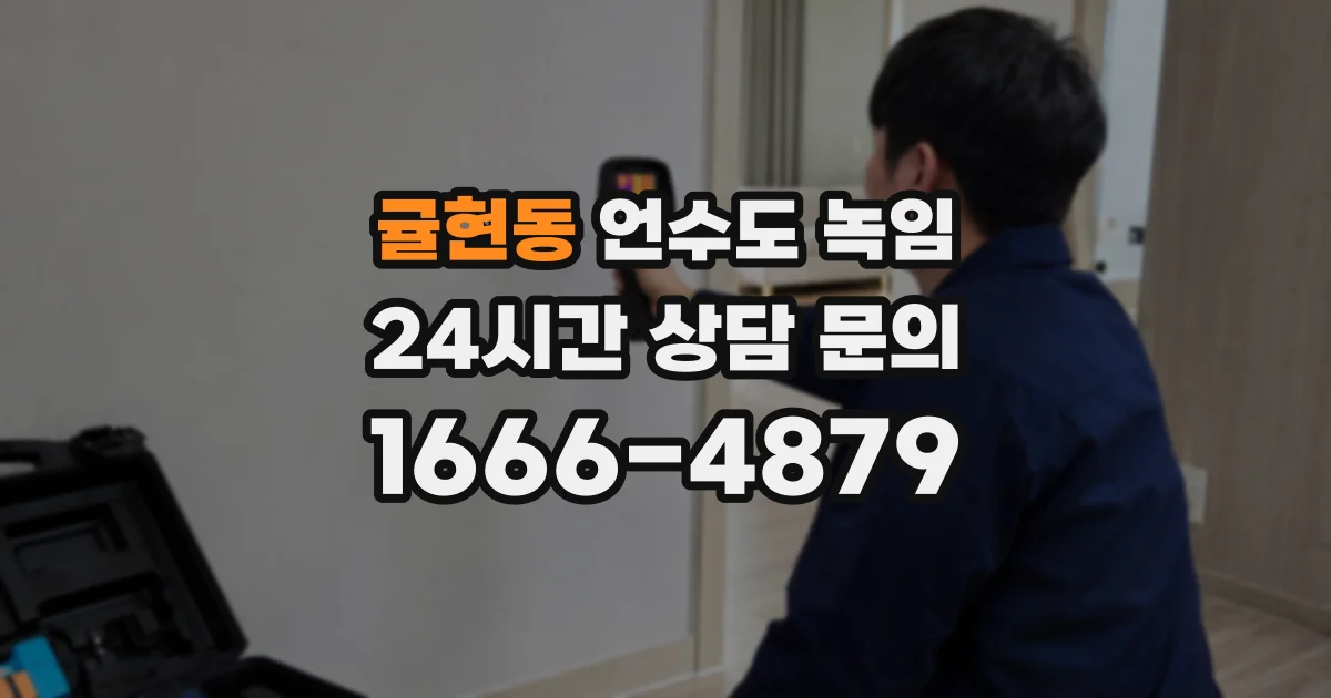 귤현동 언수도 녹임