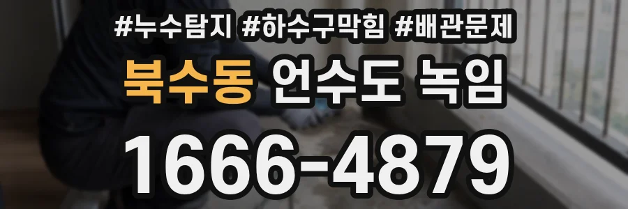 북수동 언수도 녹임
