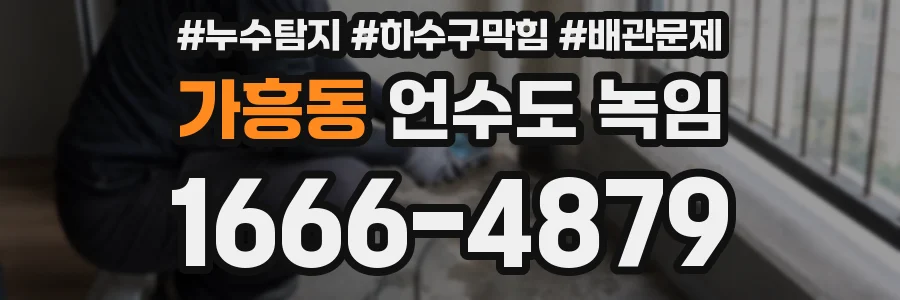 가흥동 언수도 녹임