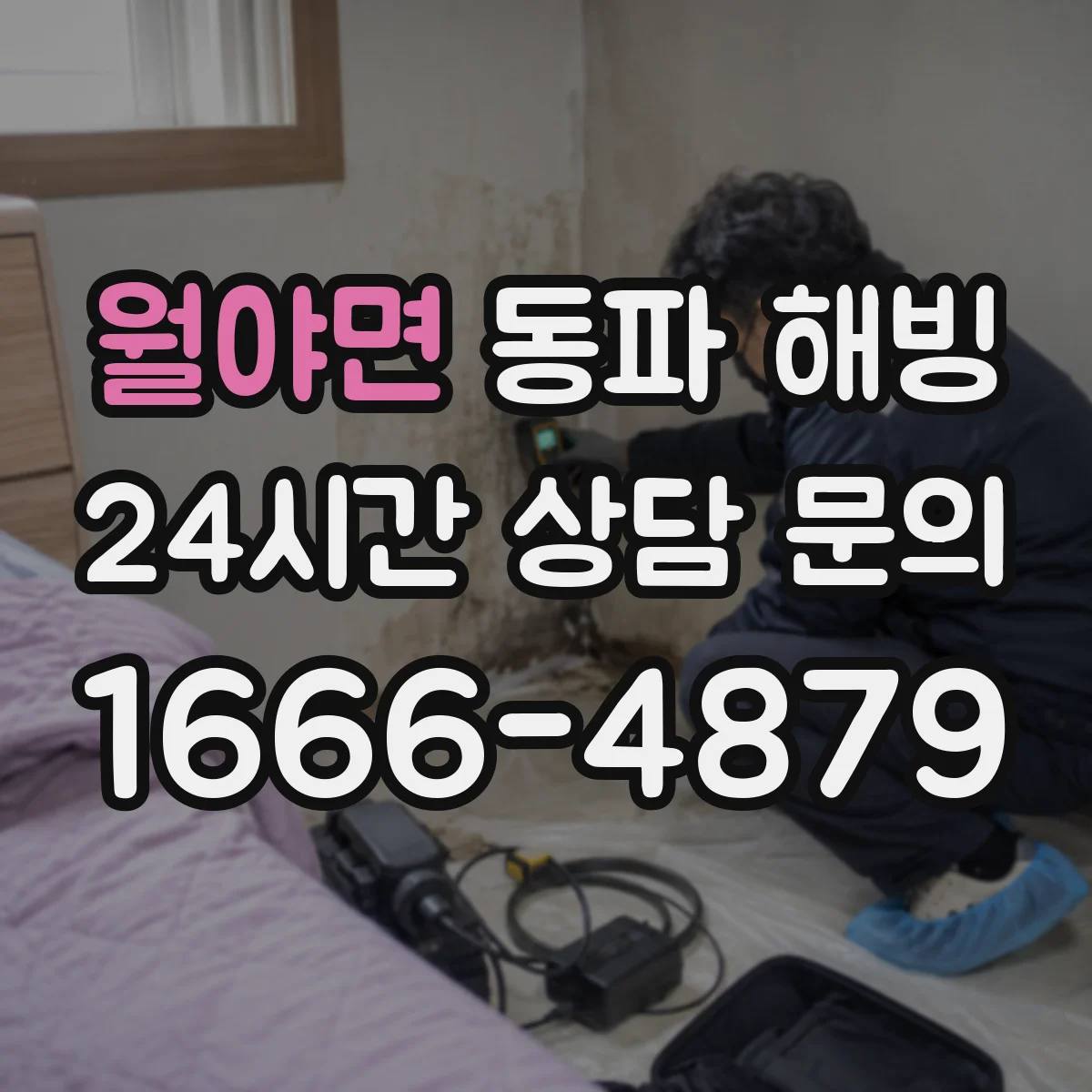 월야면 동파 해빙