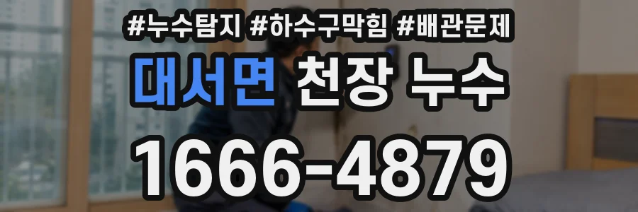 대서면 천장 누수