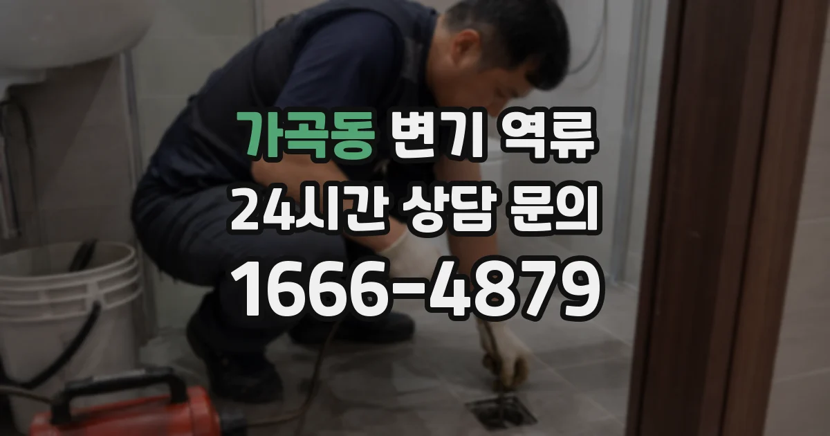 가곡동 변기 역류
