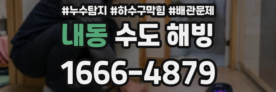 내동 수도 해빙