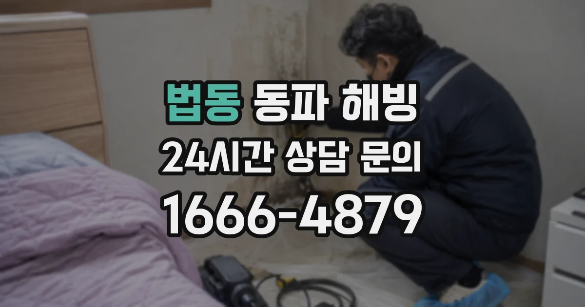 법동 동파 해빙
