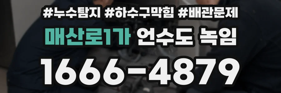 매산로1가 언수도 녹임