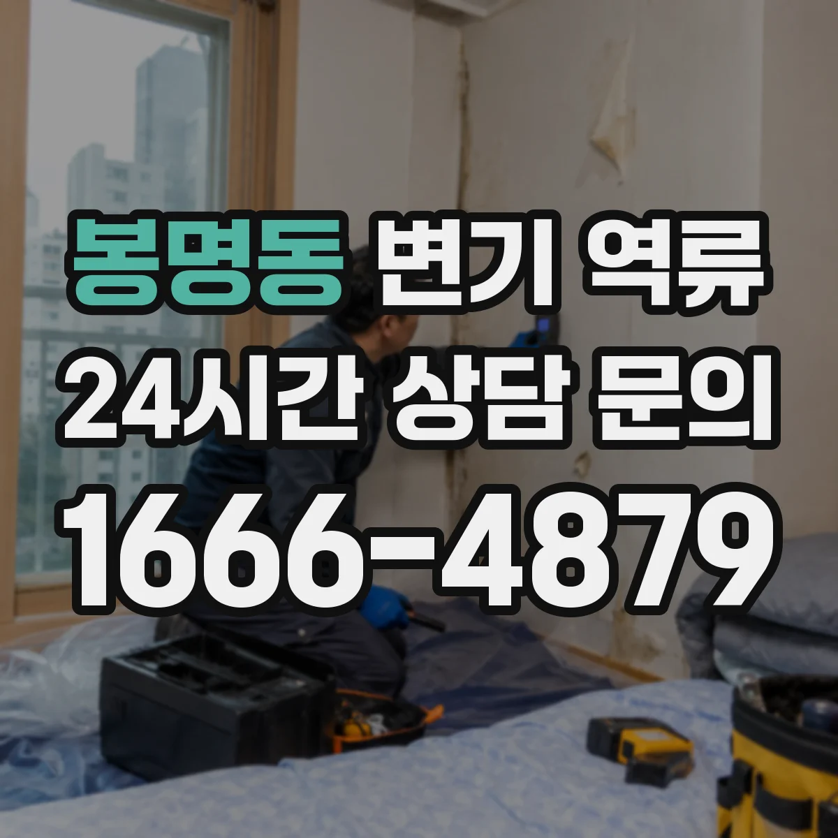 봉명동 변기 역류