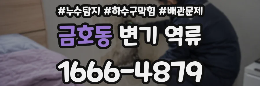 금호동 변기 역류
