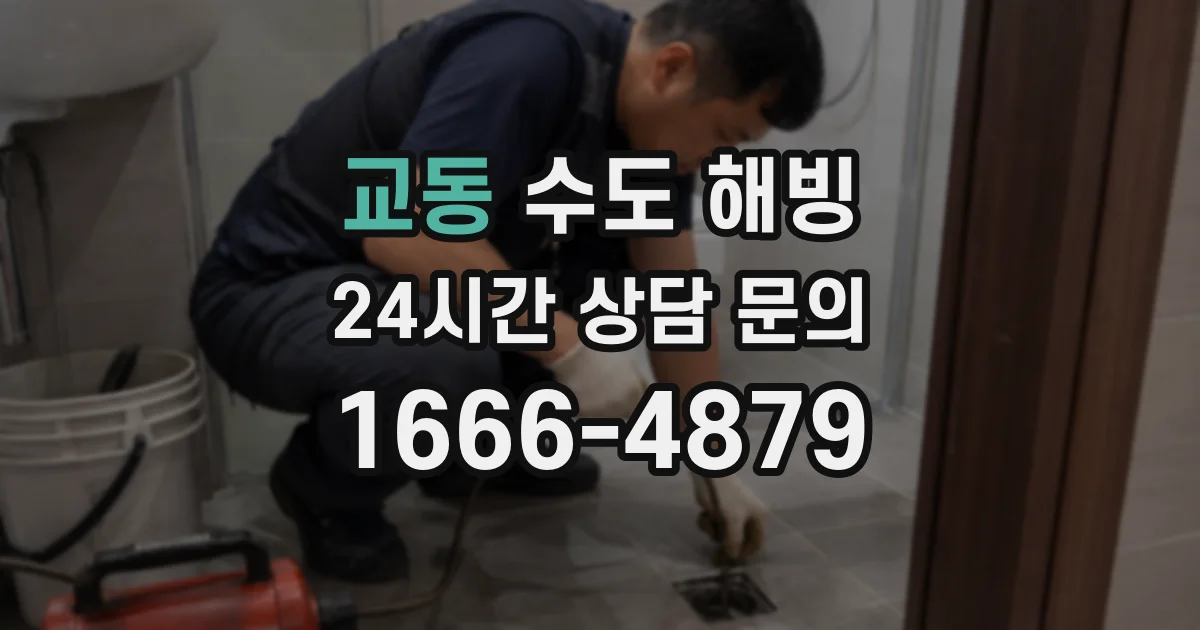 교동 수도 해빙