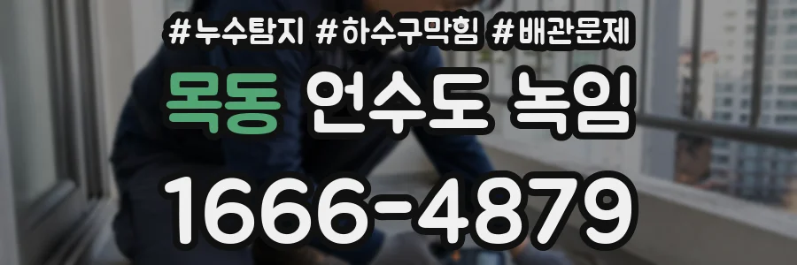 목동 언수도 녹임