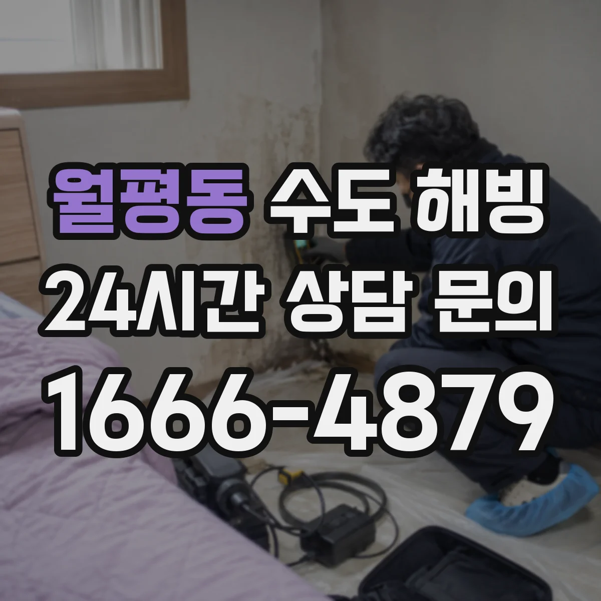월평동 수도 해빙