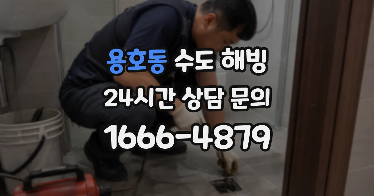 용호동 수도 해빙