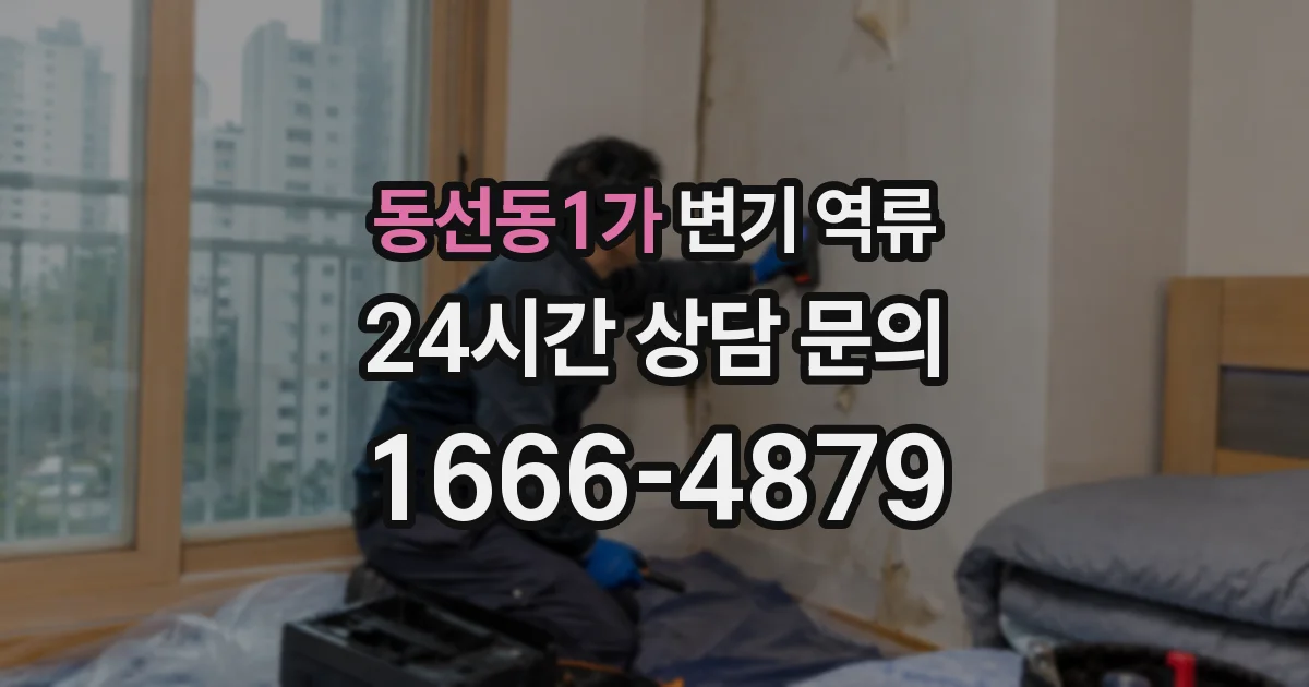 동선동1가 변기 역류