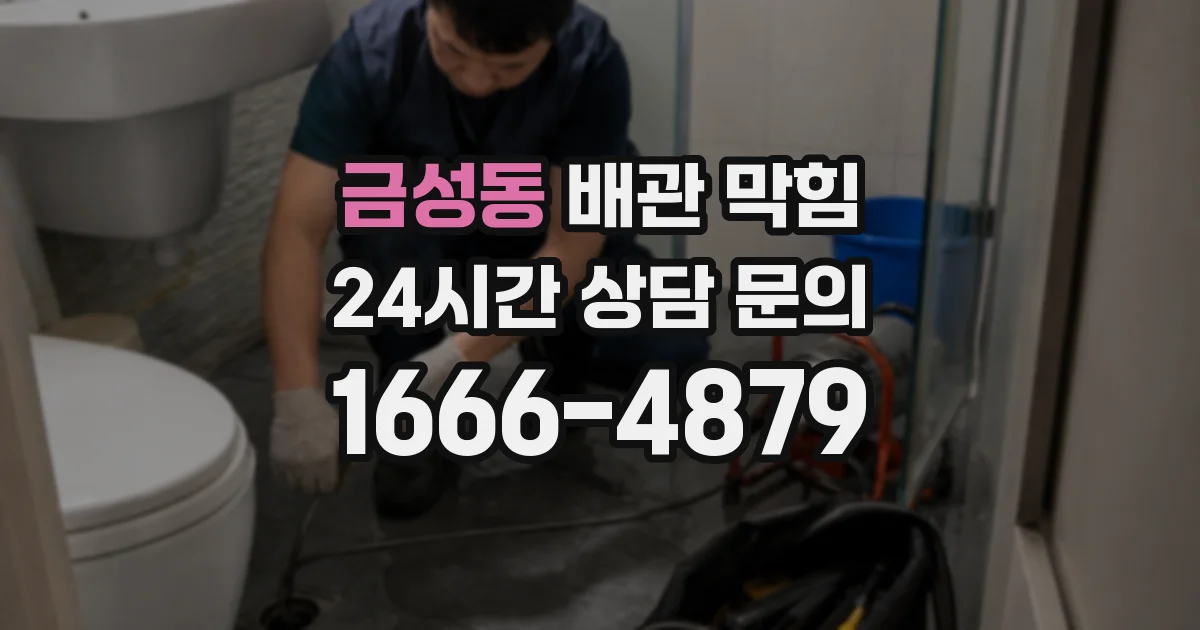 금성동 배관 막힘