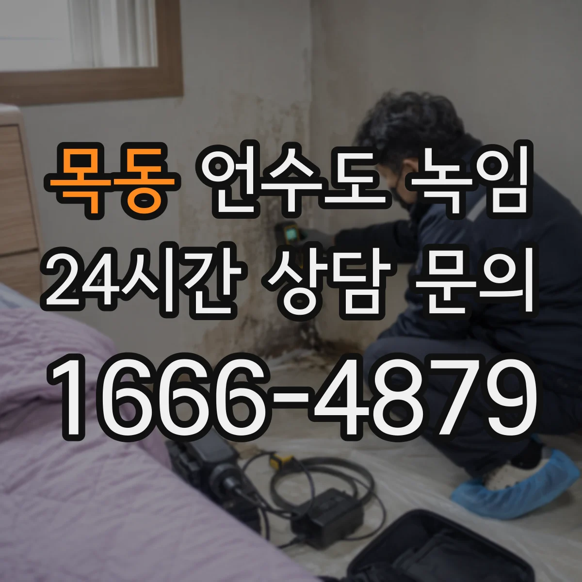 목동 언수도 녹임