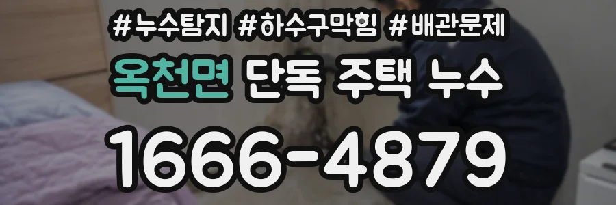 옥천면 단독 주택 누수