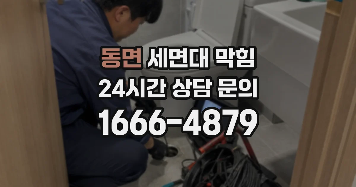 동면 세면대 막힘