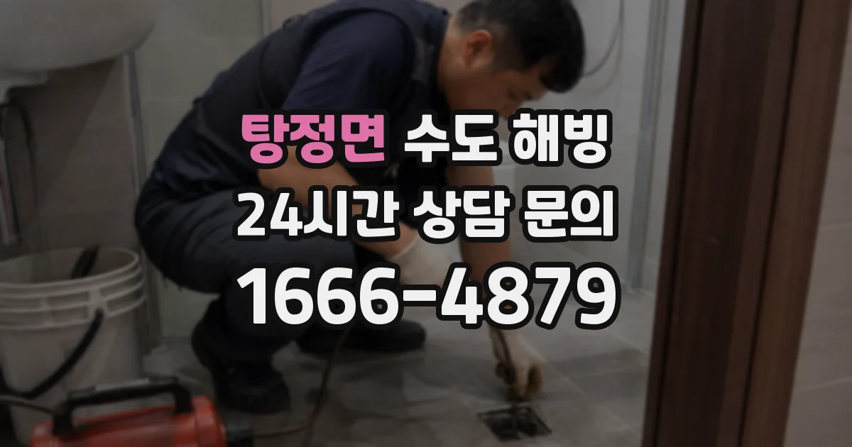 탕정면 수도 해빙