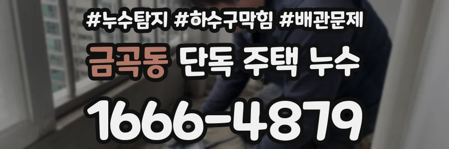 금곡동 단독 주택 누수