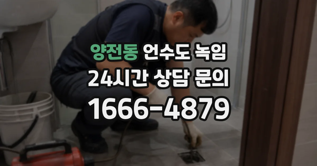 양전동 언수도 녹임