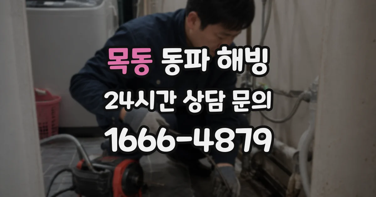 목동 동파 해빙
