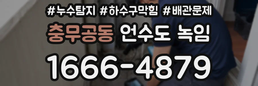 충무공동 언수도 녹임
