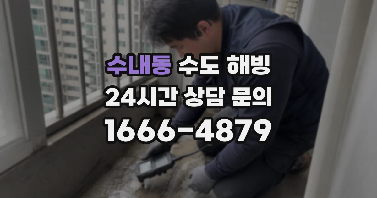 수내동 수도 해빙